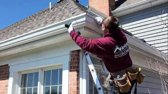 gutter services Ludington